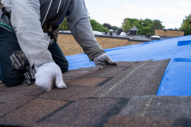 Roof Gutter Cleaning in Lacey, WA